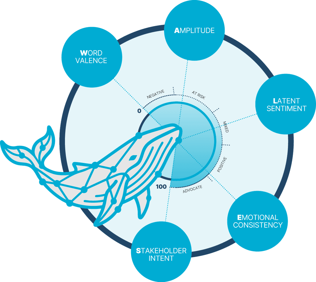 WALES™ Scoring Framework diagram