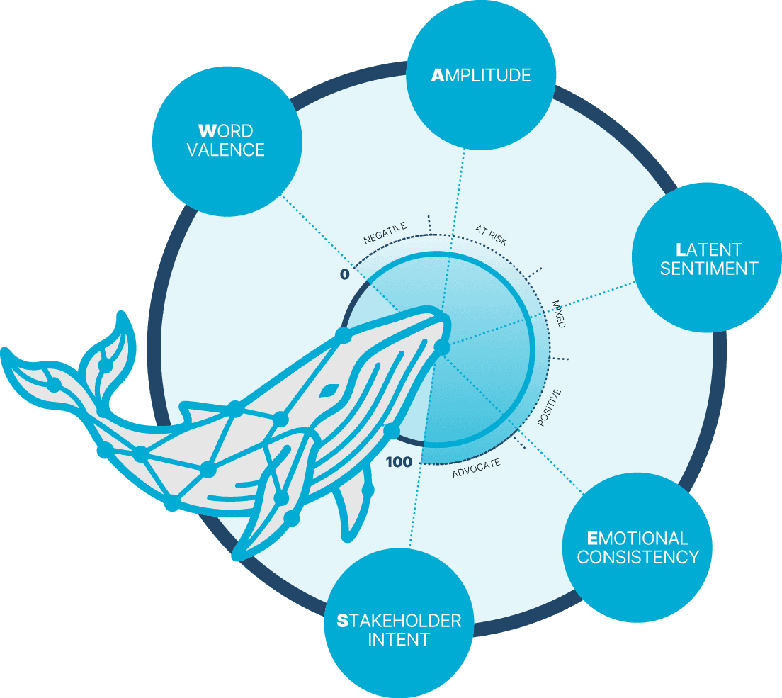 WALES™ Scoring Framework — the five dimensions of sentiment analysis